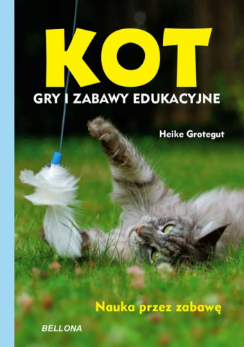 Kot. Gry i zabawy edukacyjne