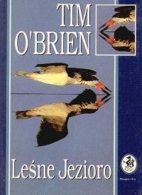 Leśne jezioro