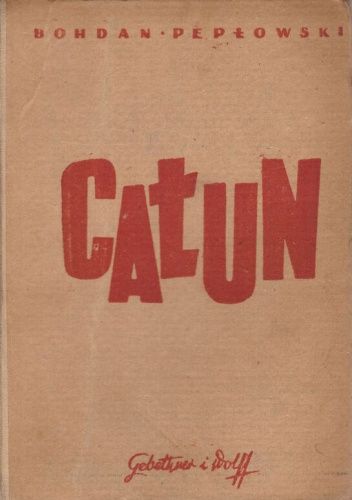 Całun