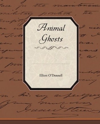 Animal Ghosts Or Animal Hauntings and the Hereafter