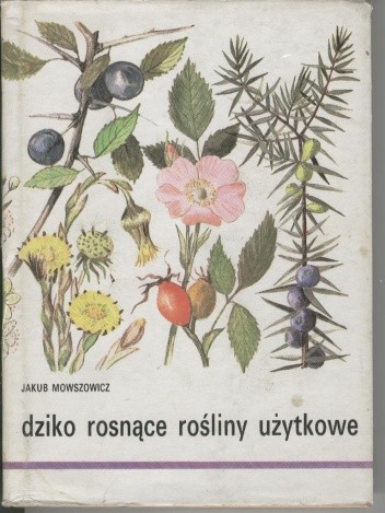 Dziko rosnące rośliny użytkowe