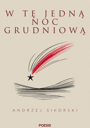 W tę jedną noc grudniową