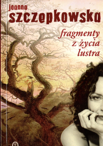 Fragmenty z życia lustra
