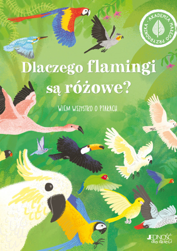 Dlaczego flamingi są różowe? Wiem wszystko o ptakach