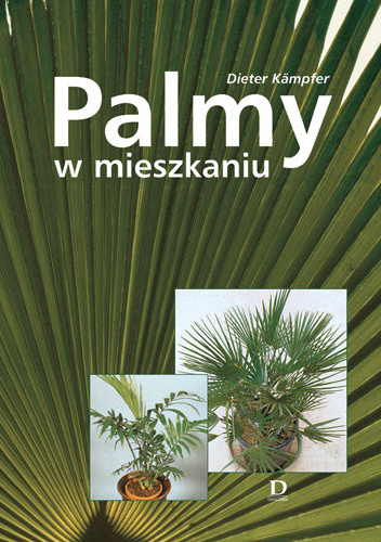 Palmy w mieszkaniu
