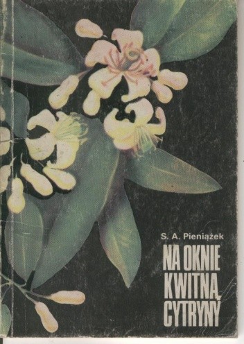 Na oknie kwitną cytryny