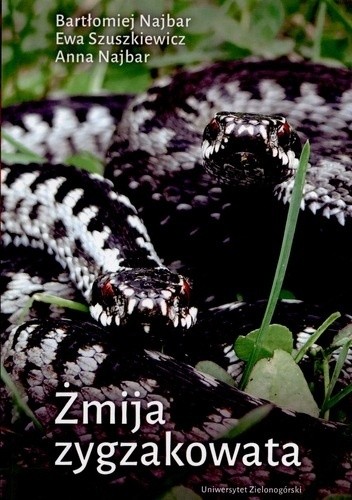Żmija zygzakowata