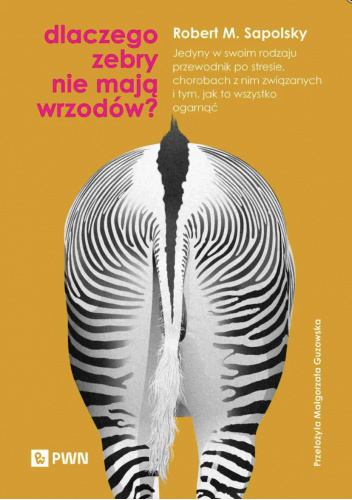 Dlaczego zebry nie mają wrzodów?