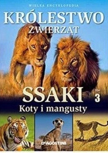 Ssaki. Koty i mangusty