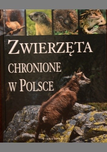 Zwierzeta chronione w Polsce