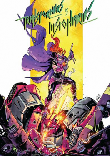 Transformers vs Visionaries