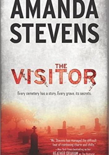 The Visitor