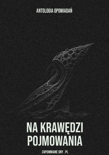 Na krawędzi pojmowania