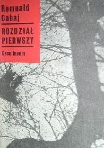 Rozdział pierwszy