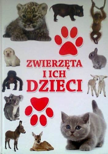 Zwierzęta i ich dzieci