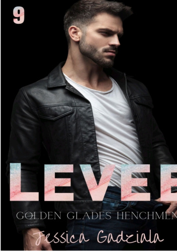 Levee