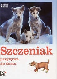 Szczeniak przybywa do domu
