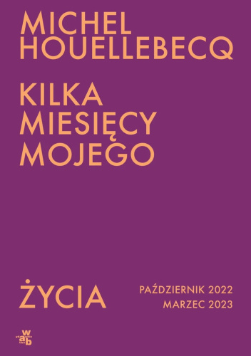 Kilka miesięcy mojego życia