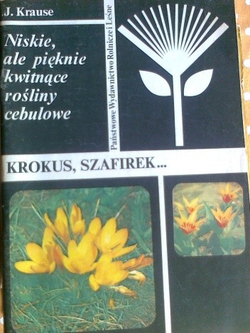 Niskie, ale pięknie kwitnące rośliny cebulowe. Krokus, szafirek...