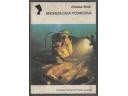 Archeologia podwodna