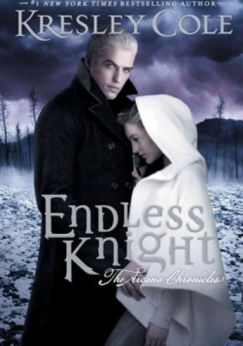 Endless Knight