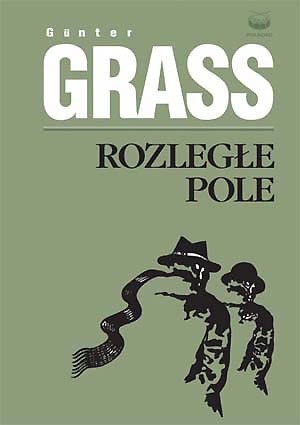 Rozległe pole