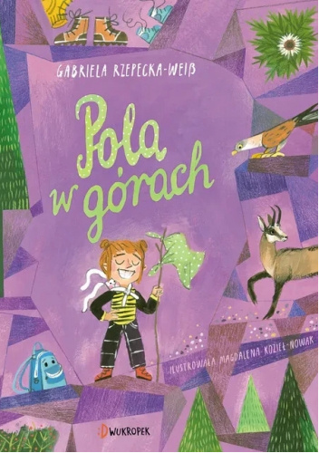 Pola w górach