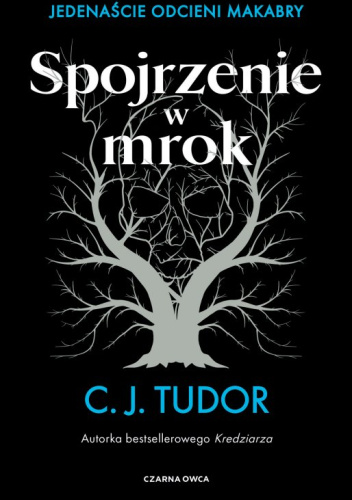 Spojrzenie w mrok. Jedenaście odcieni makabry