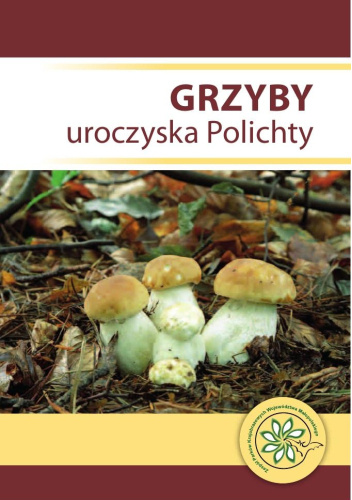Grzyby uroczyska Polichty
