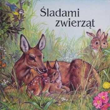 Śladami zwierząt