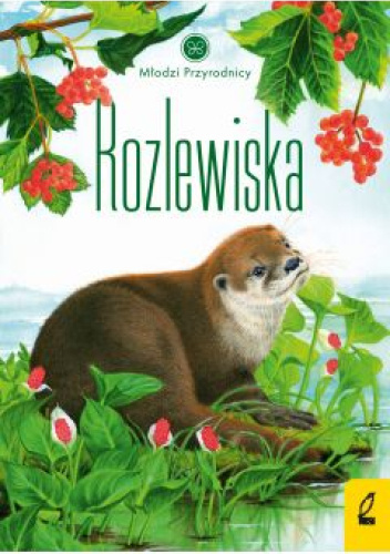 Rozlewiska