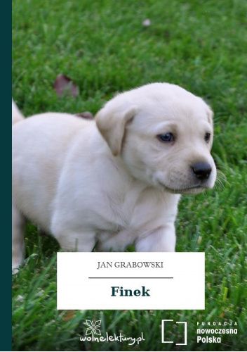 Finek