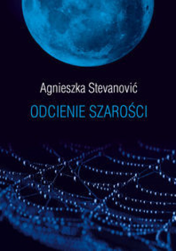 Odcienie szarości
