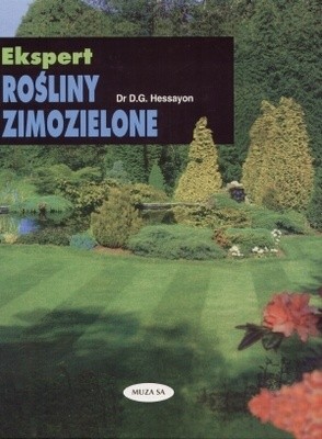 Rośliny zimozielone