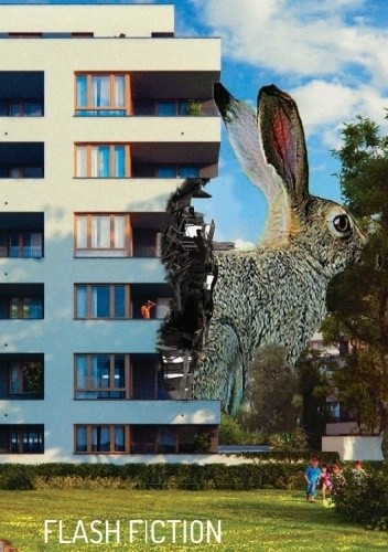 Flash fiction