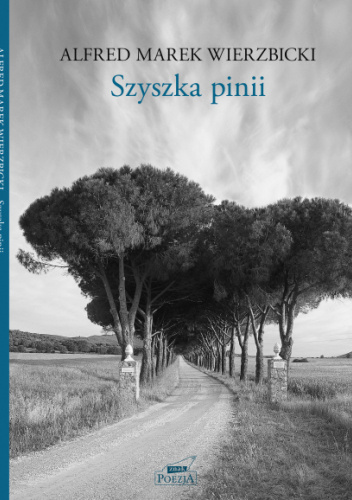 Szyszka pinii