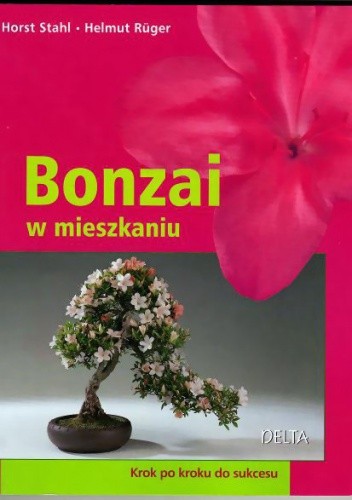 Bonzai w mieszkaniu