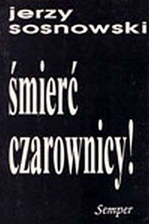 Śmierć czarownicy! Szkice o literaturze i wątpieniu