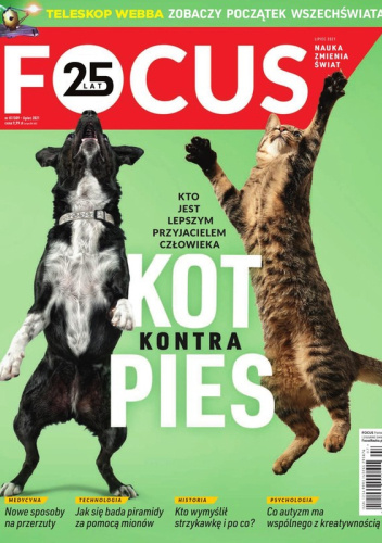 Focus 07/2021