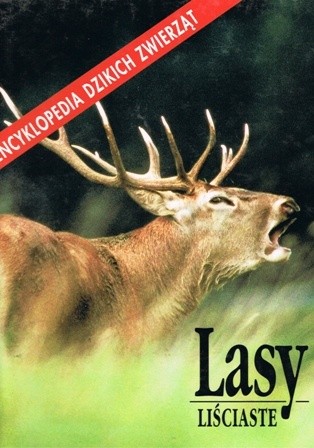 Lasy liściaste