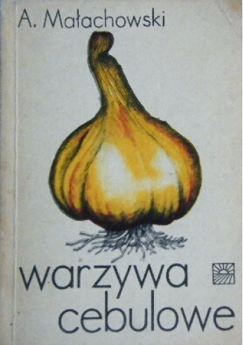 Warzywa cebulowe