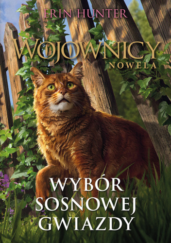 Wybór Sosnowej Gwiazdy