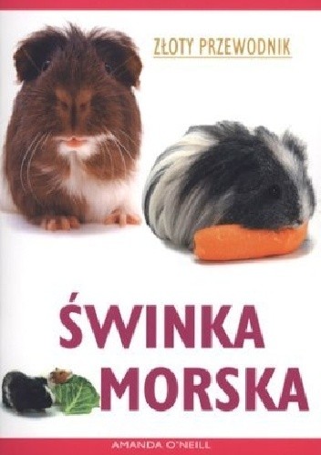 Świnka morska. Złoty przewodnik