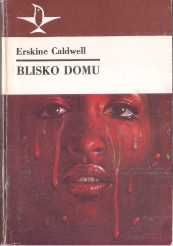 Blisko domu