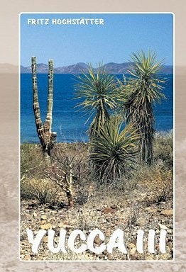 Yucca III