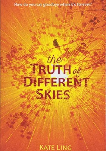 The Truth of Different Skies