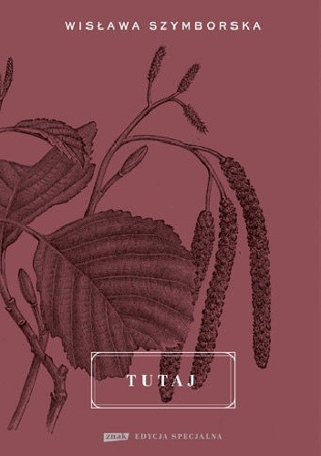 Tutaj