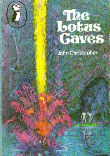The Lotus Caves