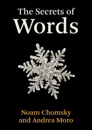 The Secrets of Words