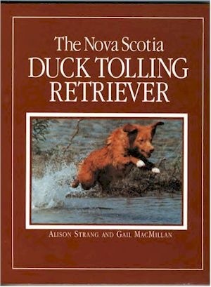The Nova Scotia Duck Tolling Retriever